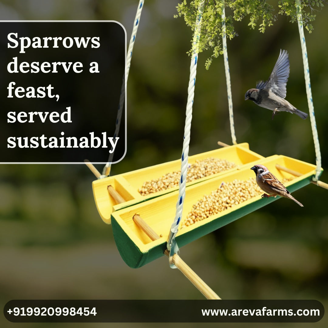 Bird Feeder With Gifting Pouch | Bamboo Bird Feeders Pack of 10 | Bamboo Bird Feeder by Areva Farms | Bird feeder hanging for balcony grill