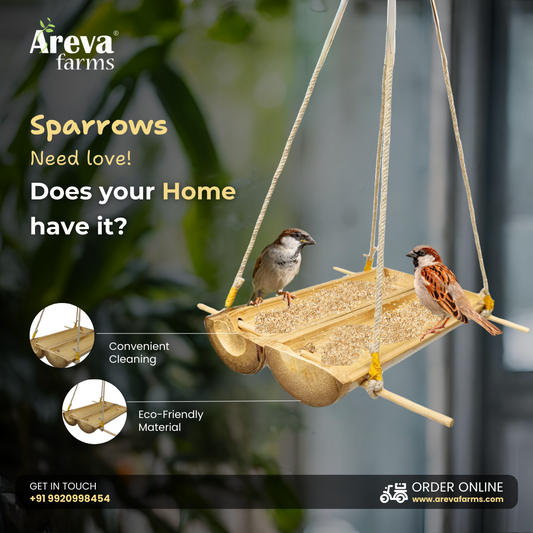 Areva Bamboo Open Feeder for Birds, Eco-Friendly Bird Feeder, Bird Feeder Hanging for Balcony Gril, Garden, Home (Set of 1)