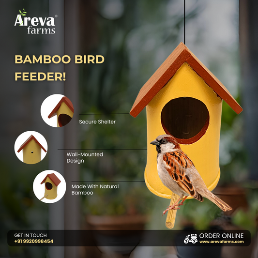 Areva Bamboo Handmade House Bird Feeder