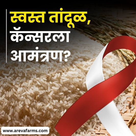 स्वस्त तांदूळ, कॅन्सरला आमंत्रण? | Cheap rice, an invitation to cancer?