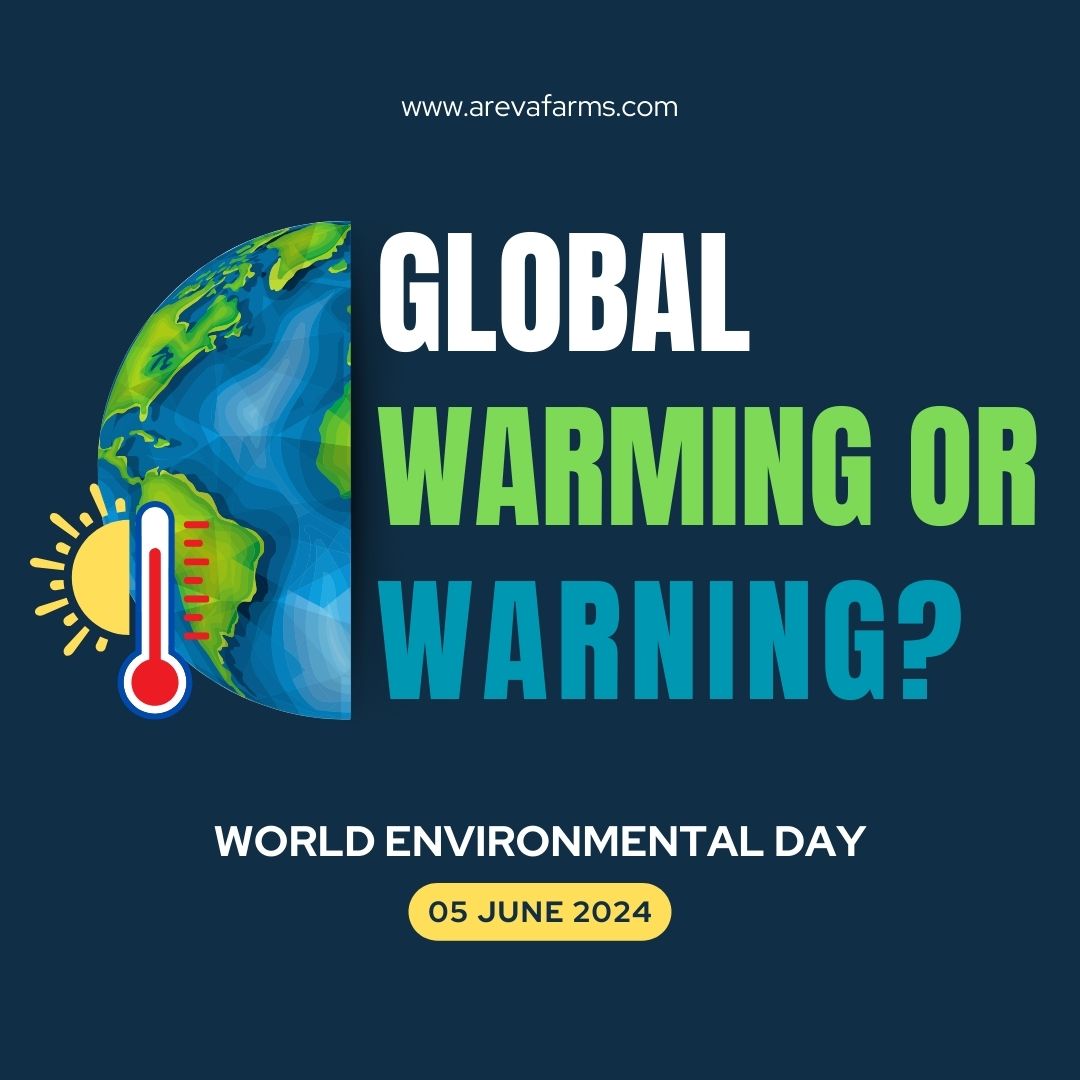 World Environment Day 2024 | The Earth is in Our Hands