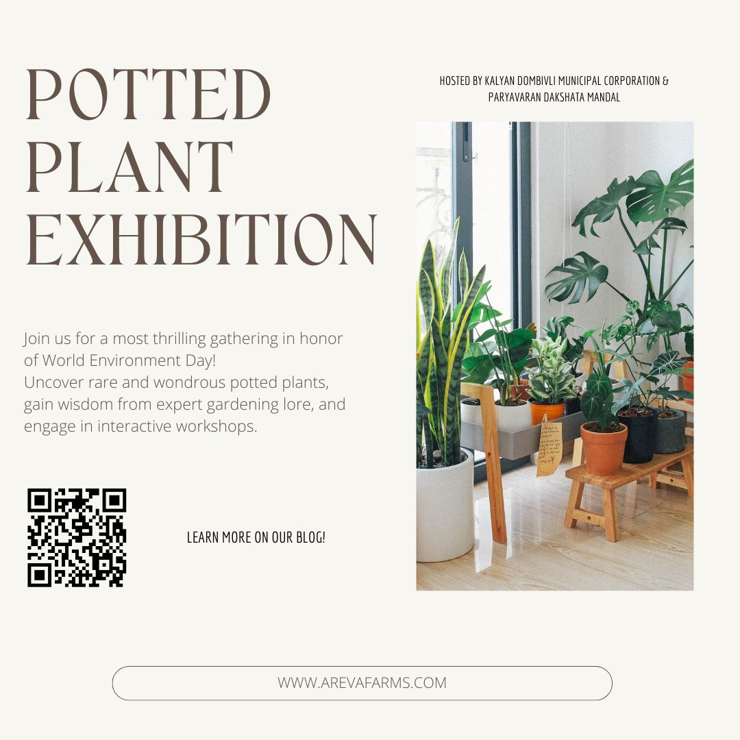 🌿 Potted plant Exhibition & Gardening Workshop: Celebrating Nature's Beauty! 🌳