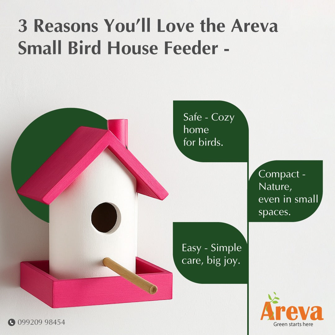 Set of 4 Wooden Bird House Feeders | Colorful Hanging Birdhouses for Balcony, Garden & Home Décor