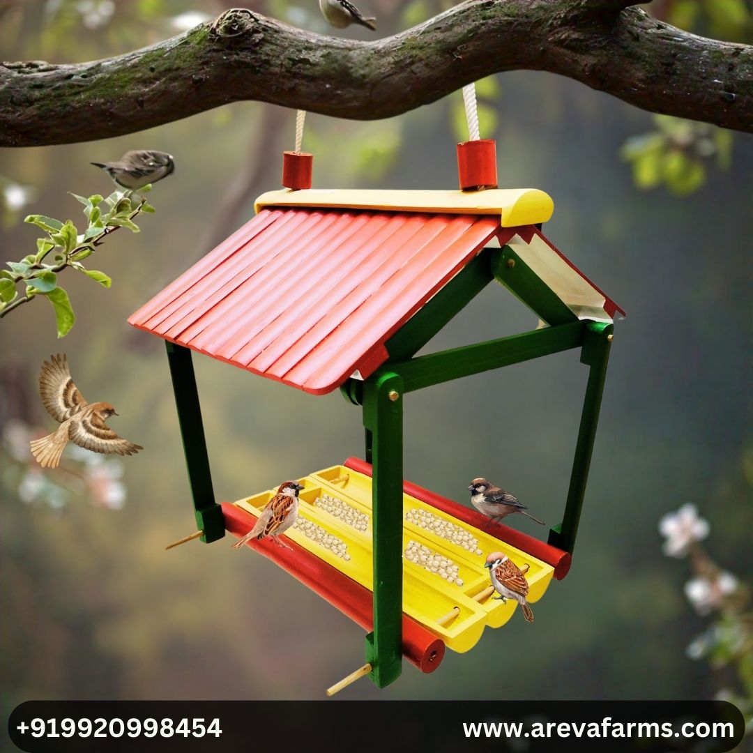 Bird Feeder | Bird Feeder Combo Pack | Bamboo Bird Feeder by Areva Farms | Bird feeder hanging house | Bird feeder hanging for balcony grill | (Combo Pack)