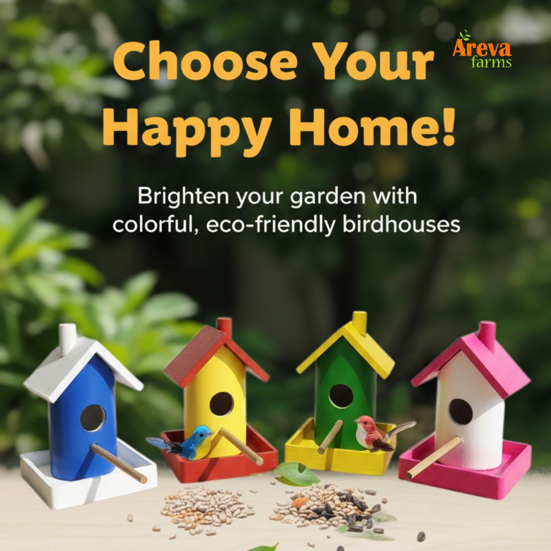 Set of 4 Wooden Bird House Feeders | Colorful Hanging Birdhouses for Balcony, Garden & Home Décor