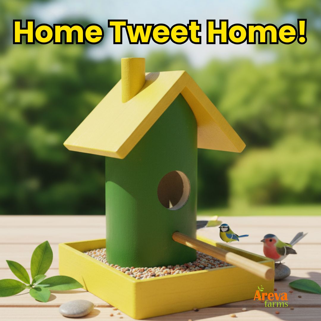 Set of 4 Wooden Bird House Feeders | Colorful Hanging Birdhouses for Balcony, Garden & Home Décor