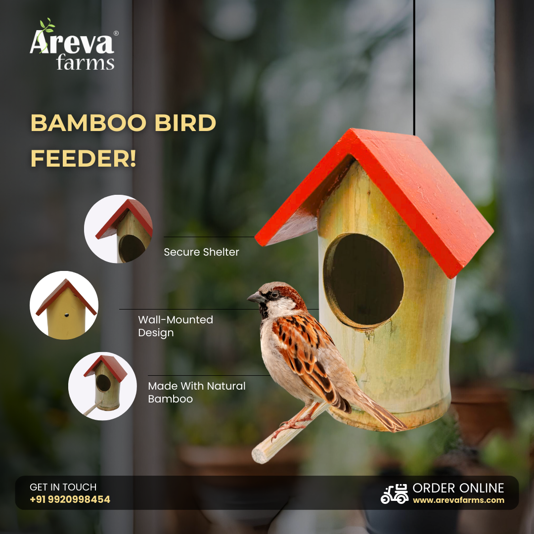 Areva Bamboo Handmade House Bird Feeder