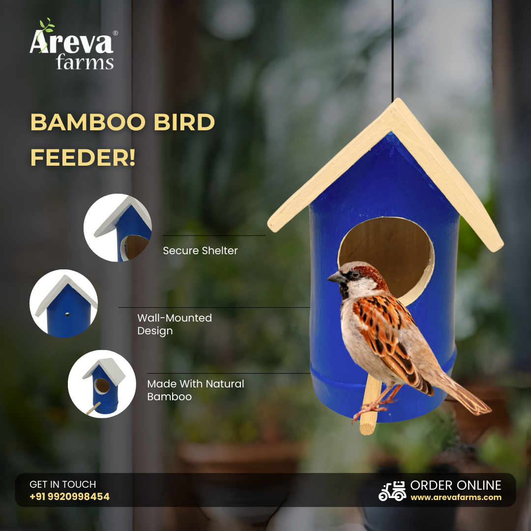 Areva Bamboo Handmade House Bird Feeder