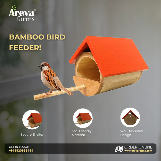 Areva Bamboo Handmade Wall House Bird Feeder