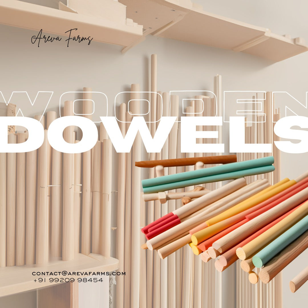 Areva Bamboo Unfinished Round Sticks | Bamboo Sticks | Dowel | Dowel Sticks | Multi-Purpose Skewers | Hobby Craft | DIY Activities