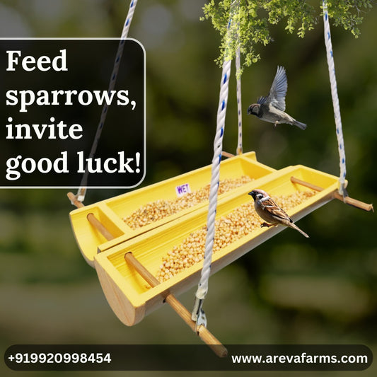 Eco-Friendly Bamboo Bird Feeder by Areva Farms | Large Hanging Feeder for Small Birds | Perfect for Balcony, Garden, or Outdoor Use